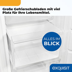Exquisit Gefrierschrank NoFrost, Tiefkühlschrank groß, 161 Liter, Schnellgefrieren, Alarm-Funktion, GS5231-NF-H-040C weiss