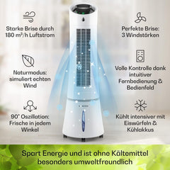 Klarstein 4-in-1: Smart Luftkühler, Ventilator, Luftbefeuchter & Ionisation I 6 L Wassertank, Oszillation, 30 W, 210 m³/h, Timer I Klimagerät ohne Abluftschlauch, Mobiles Klimagerät, Schwarz-Rosegold