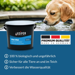 KOIPON Pon-Vital 25 kg, Die 100% biologische Alternative zum Fadenalgenvernichter gegen Algenwachstum und Fadenalgen im Gartenteich