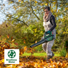 Bosch Akku-Laubbläser AdvancedLeafBlower 36V-750 (1x 2.0 Ah Akku, 36 Volt System, zum Entfernen hartnäckiger Blätter auf großen Flächen, geringes Gewicht: 2,8 kg, im Karton)