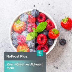 Gorenje N 619EAW4 Kühl-Gefrier-Kombination / LED Display / 186 cm / 300 l / NoFrostPLus / Gemüsefach mit Feuchteregler / FastFreeze / weiß