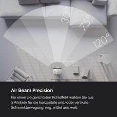 MEACO MeacoFan Sefte Tischventilator - 10 Luftumwälzer mit 12 Geschwindigkeiten - Horizontale und vertikale Oszillation - 3 Oszillationsbereiche - Ultraleise, ferngesteuerte Kühlung, Schwarz