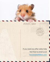 BUCATSTATE Hamsterkäfig 3,0: Metall Rattenkäfig Kleintierkäfig Groß Stapelbar mit Einfacher Montage 120L x 60W x 62H cm für Nager, Mäuse, Zwerghamster (0,72m², Weiß)
