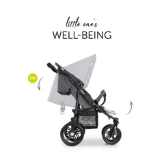 hauck Geschwisterwagen Roadster Duo SLX, Zwillingsbuggy ab Geburt bis 15 kg (ca. 3 Jahren) mit Liegefunktion, XL Korb, Einfach und Klein Zusammenklappbar, Große Räder (Grey/Silver)