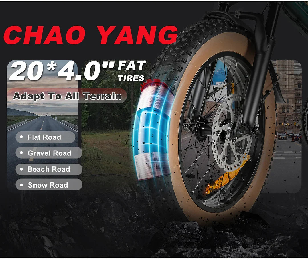 SAMEBIKE XWLX09-II 1000W Motor, 48V 15Ah, 50 km/h, Mountain Ebike