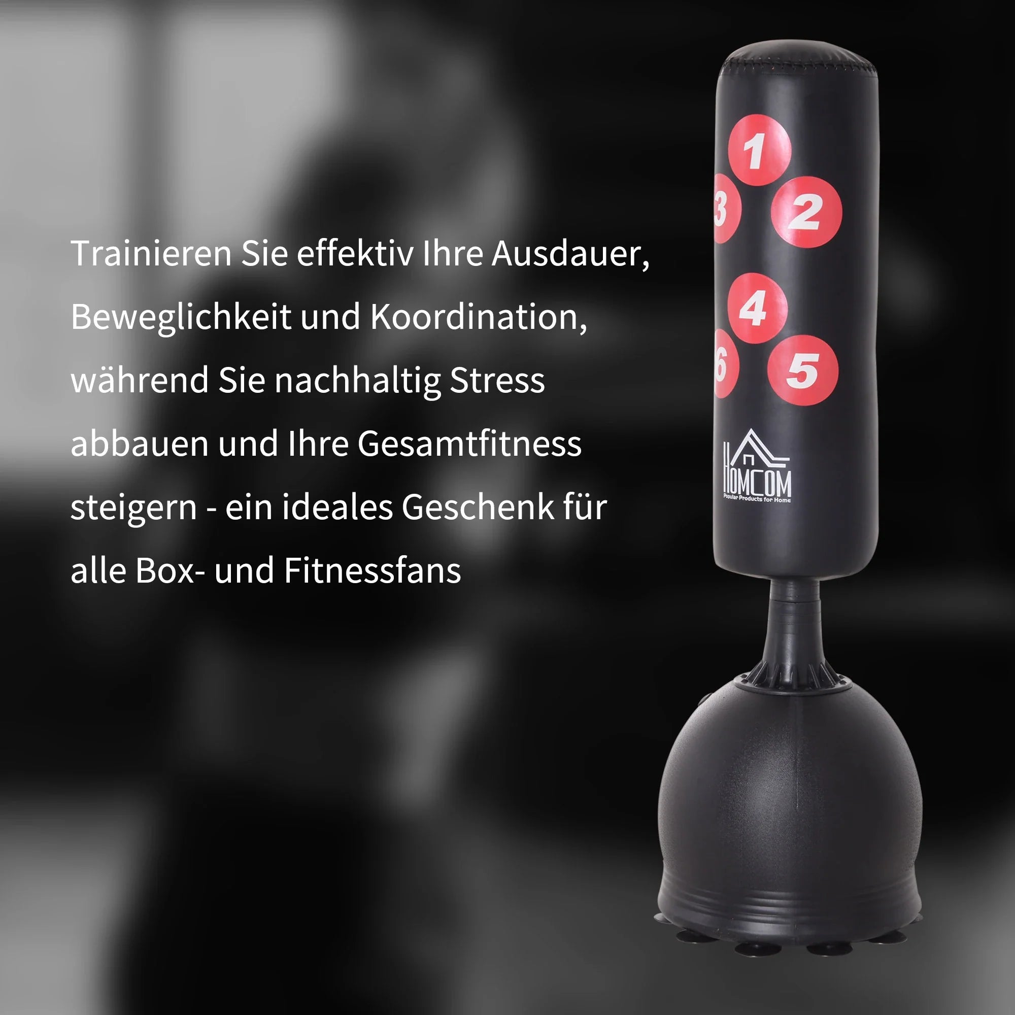 HOMCOM Standboxsack freistehend mit Saugnäpfen & Reflex-System