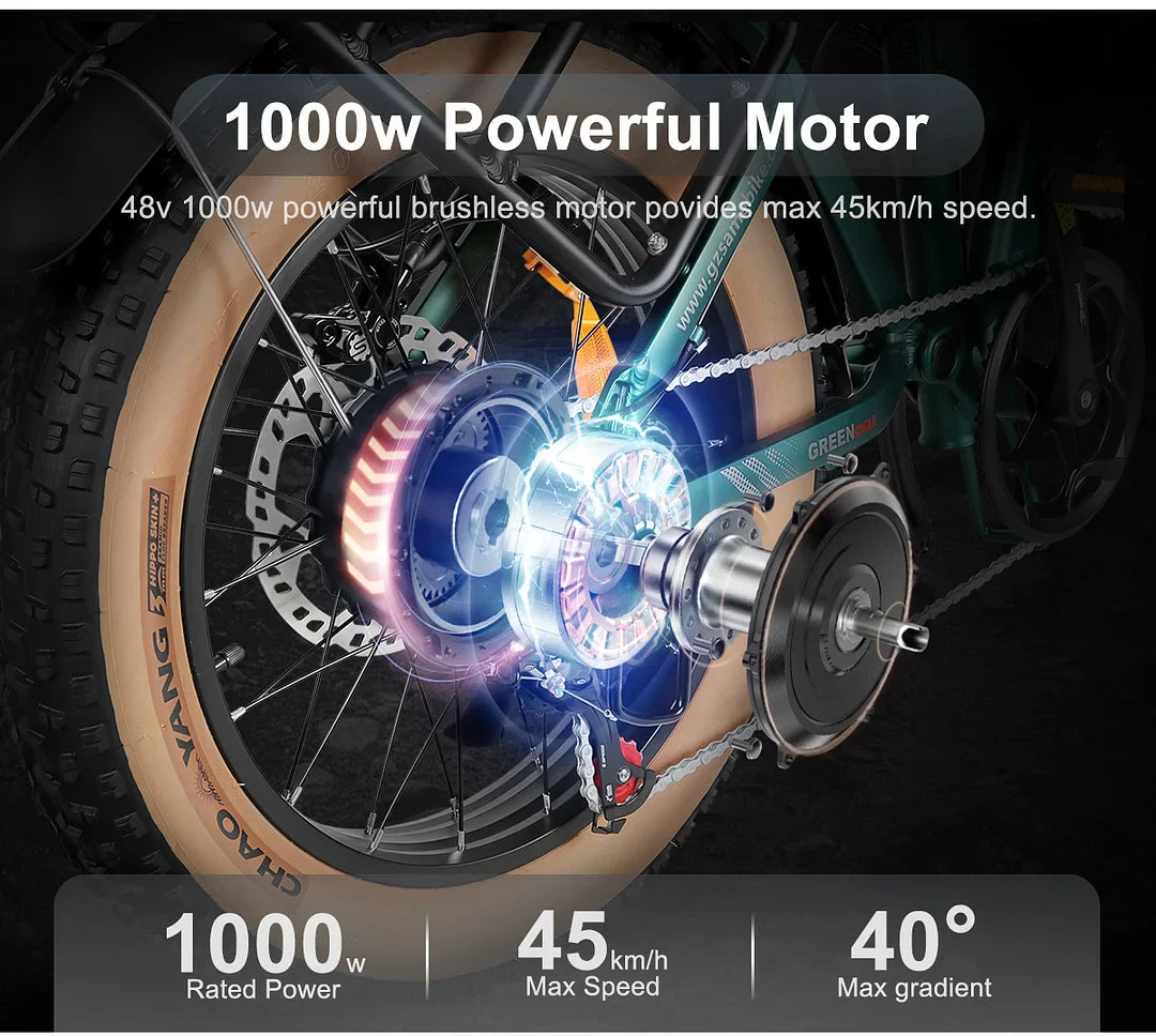 SAMEBIKE XWLX09-II 1000W Motor, 48V 15Ah, 50 km/h, Mountain Ebike