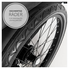 hauck Fahrradanhänger & Kinderwagen Dryk Duo Plus mit Federung, für 2 Kinder (6-48 Monate), inkl. Deichsel, Buggyrad, Fahne und LED Licht, Faltbar, Höhenverstellbar, XL Kofferaum (Dark Green)
