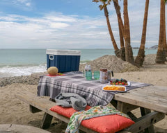 MOBICOOL MQ40W Kühlbox mit Rollen | Elektrisch | 39 L | 12V, 230V | für Auto, Boot, Reisemobil und Steckdose
