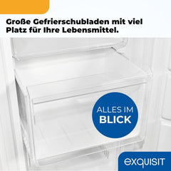 Exquisit Gefrierschrank NoFrost, Tiefkühlschrank groß, 161 Liter, Schnellgefrieren, Alarm-Funktion, GS5231-NF-H-040C weiss