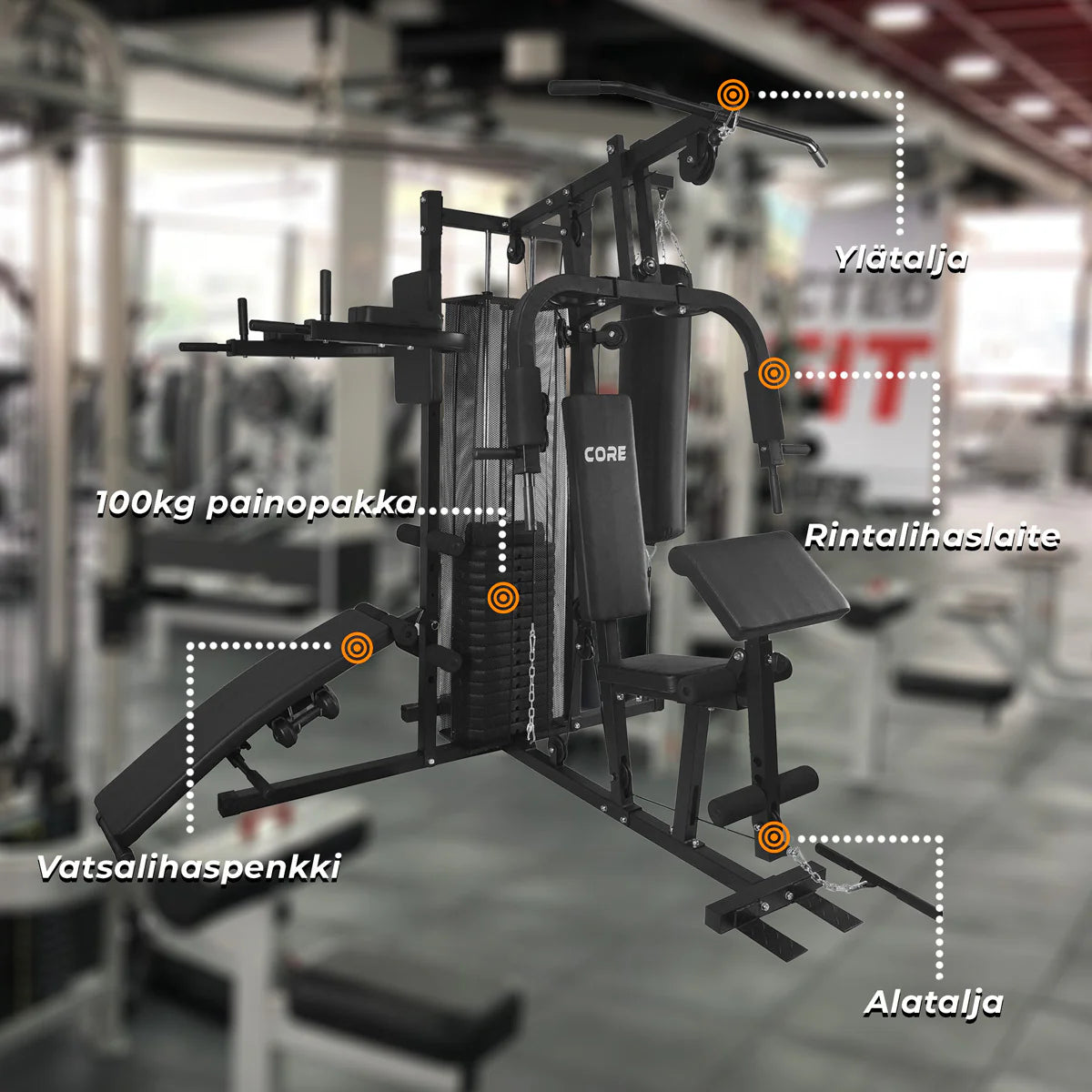Core Kraftstation 100kg