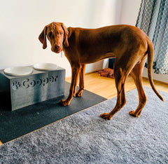 Futterstation Hund PATERA DUO Personalisiert